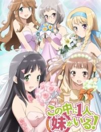 NAKAIMO - My Little Sister Is Among Them!