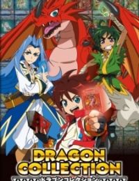 DRAGON COLLECTION