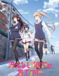 Saekano: How to Raise a Boring Girlfriend